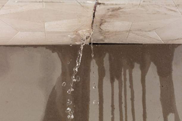 Professional Burst Pipe Cleanup technician working in Derwood, MD